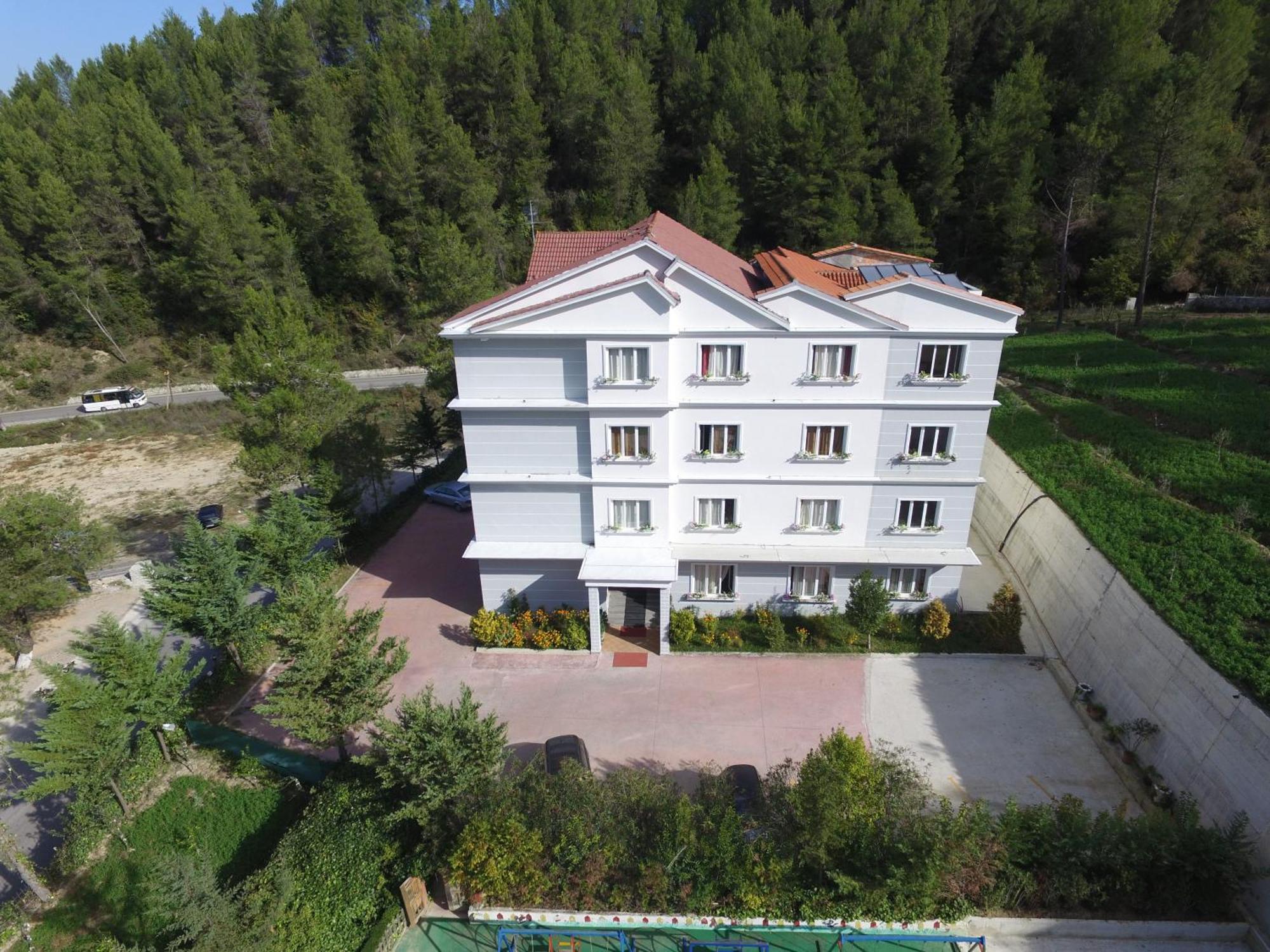 Hotel Elvis Mjull-Bethore