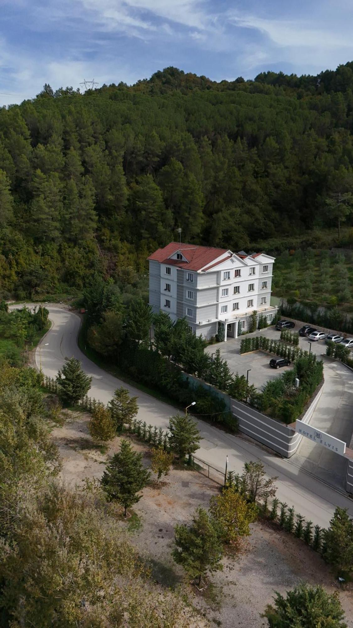 Elvis Hotel